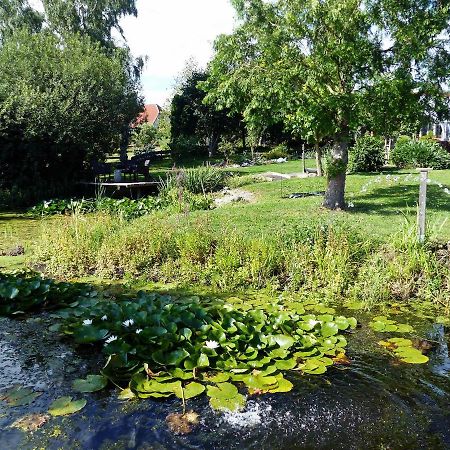 "Balmgarten" Im Naturpark Usedom, Bio Solarhaus Mit Grossem Garten Экстерьер фото