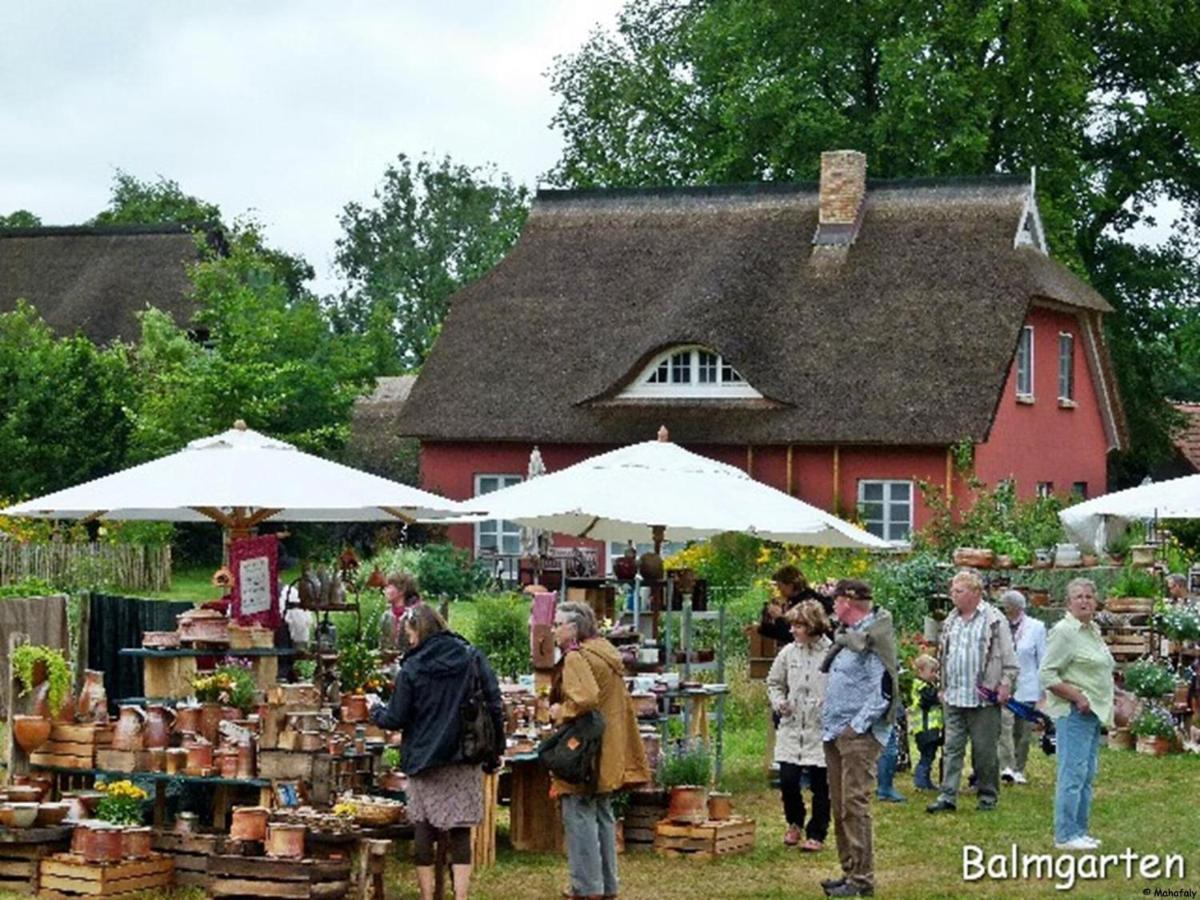 "Balmgarten" Im Naturpark Usedom, Bio Solarhaus Mit Grossem Garten Экстерьер фото