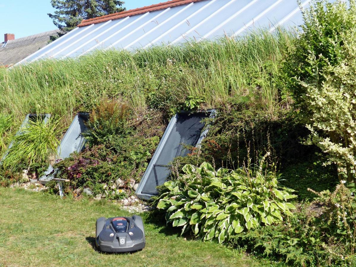 "Balmgarten" Im Naturpark Usedom, Bio Solarhaus Mit Grossem Garten Экстерьер фото