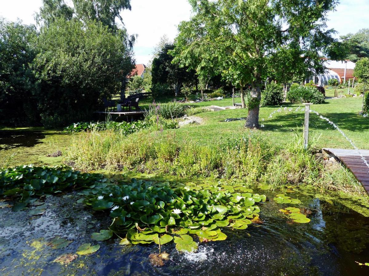 "Balmgarten" Im Naturpark Usedom, Bio Solarhaus Mit Grossem Garten Экстерьер фото